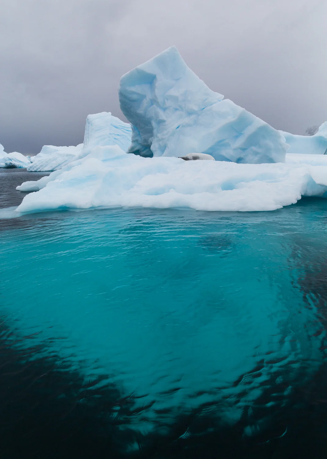 | I SEE COLORS |
I see colors when I hear your voice,
Grab your wings, they’re putting gravity on trial
I see colors, I don’t hear the noise
Because we’re only flying for a while
- Andrew McMahon
#antarcticaordie (at Antarctica)