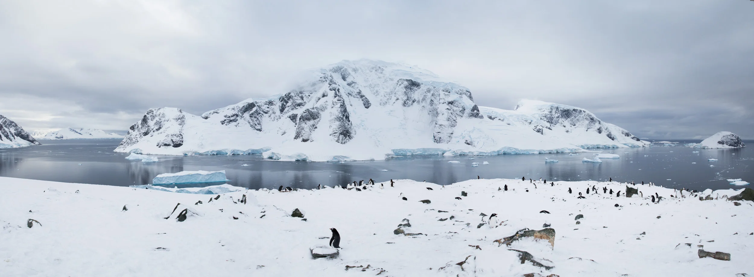 Danco Island Pano 1.jpg