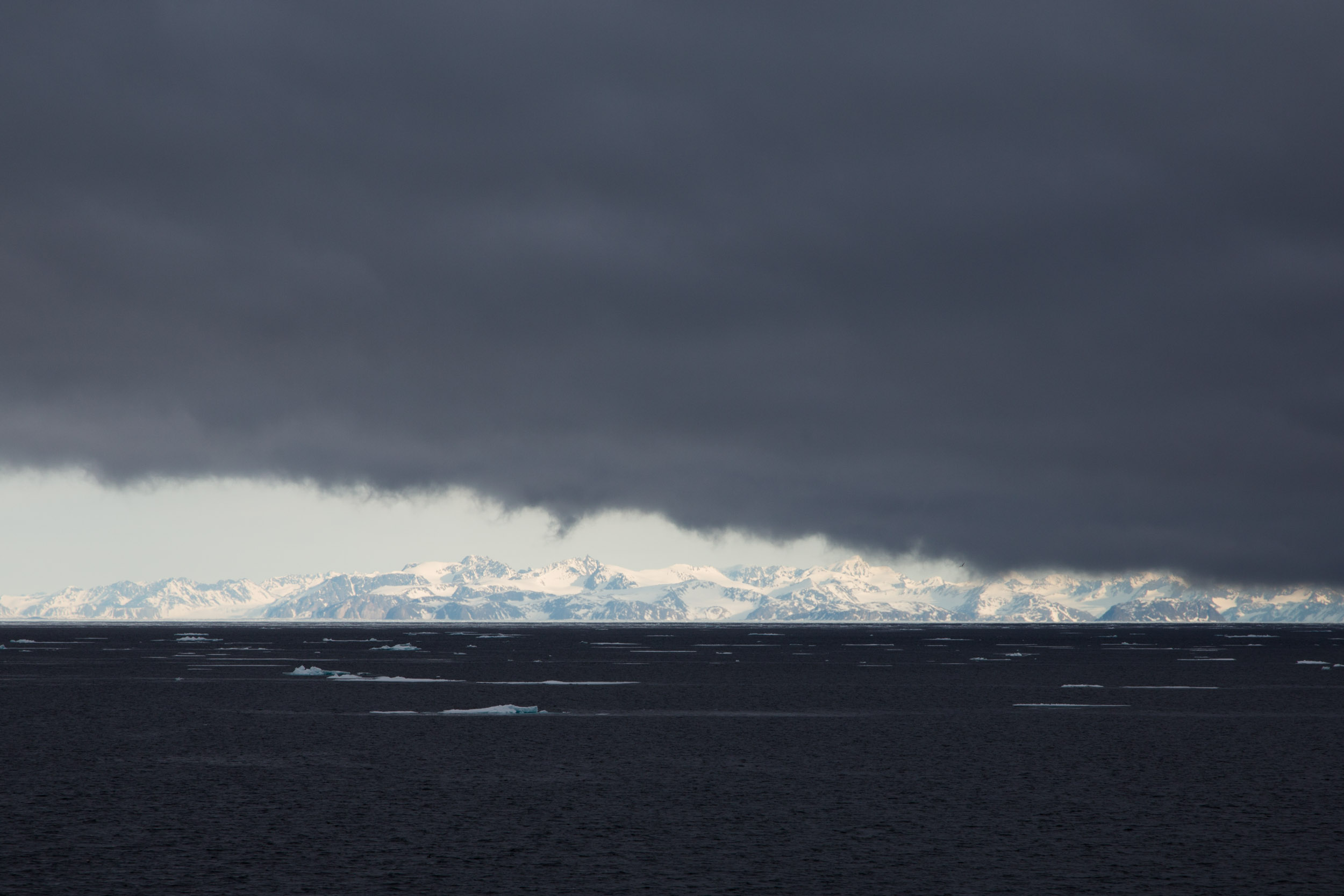 _H9A0665.jpg