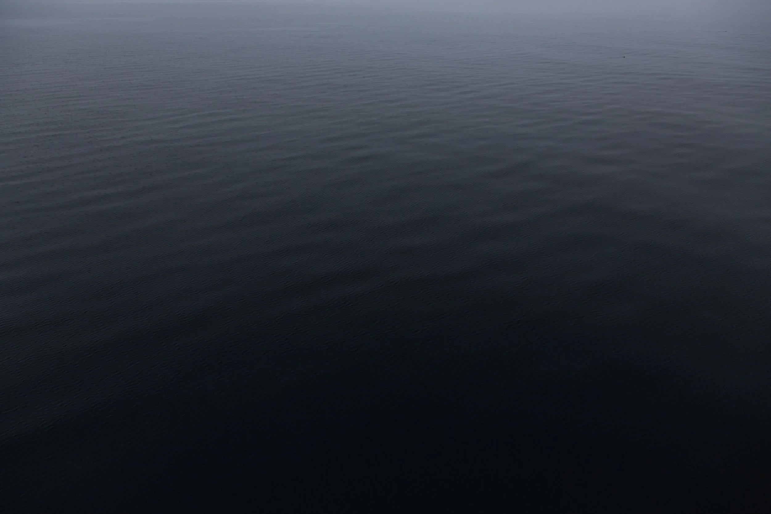 _H9A0912.jpg