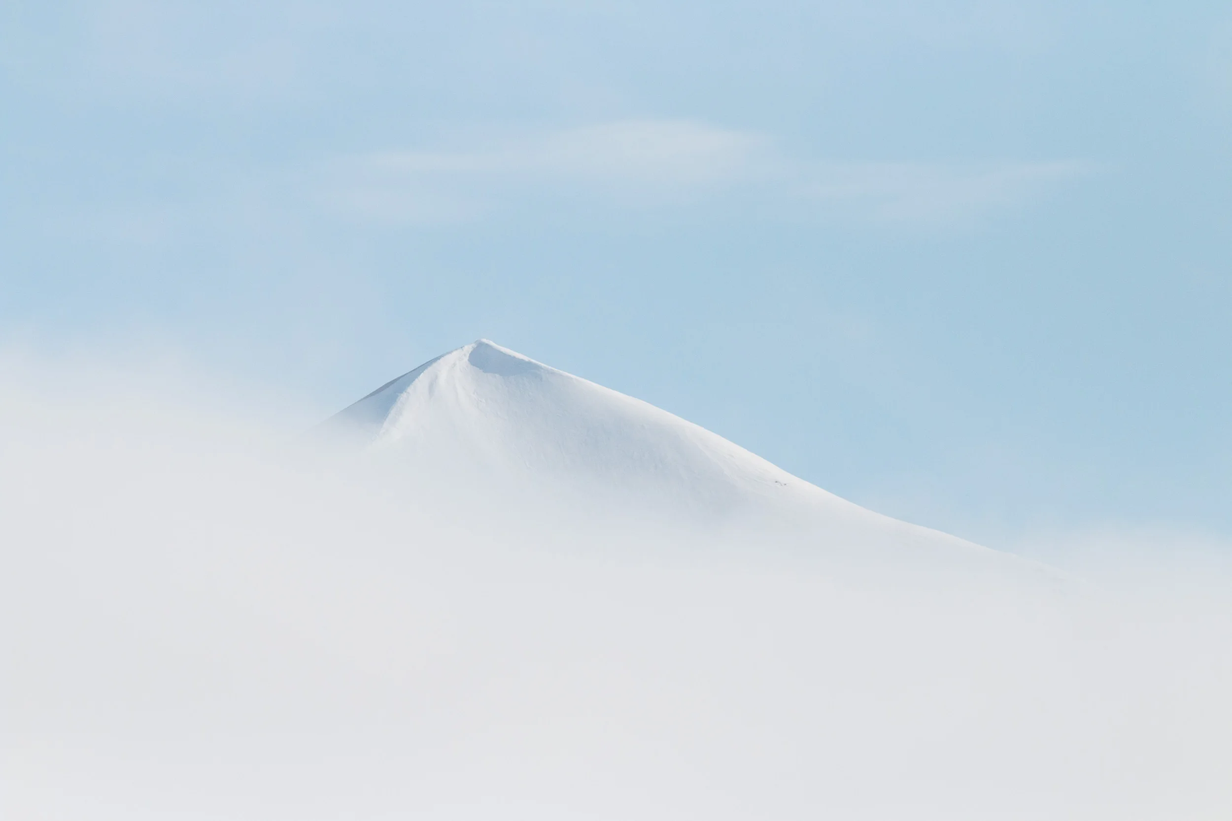 _MG_2101.jpg