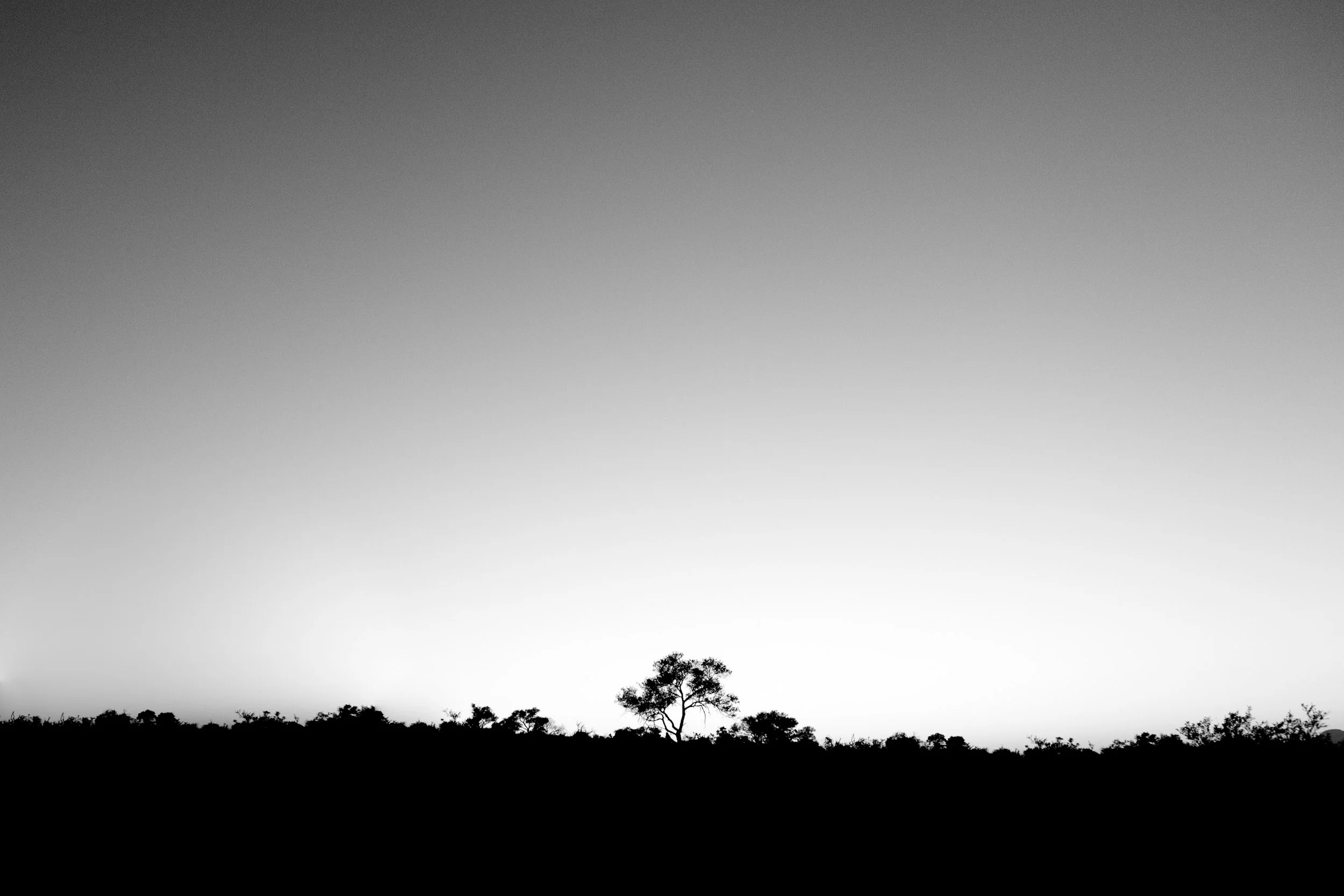 _MG_0501.jpg