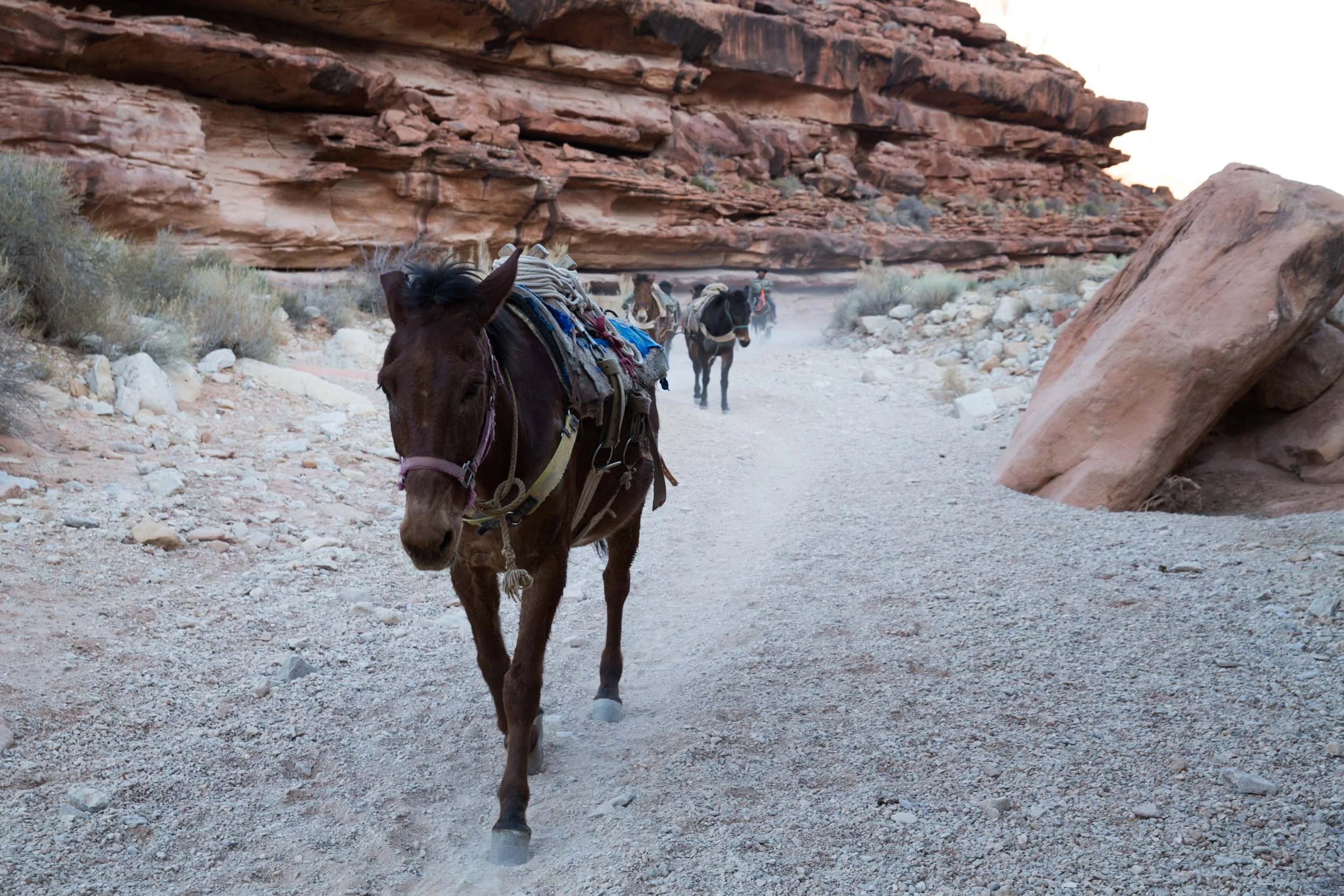 Supai, Arizona, Havasupai, Grand Canyon, BBC Travel, Reuben Hernandez, Havau Falls, Havasupai Falls
