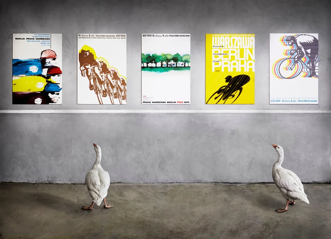 The goose shoot. With posters of the Peace Race curated by Herbie Sykes