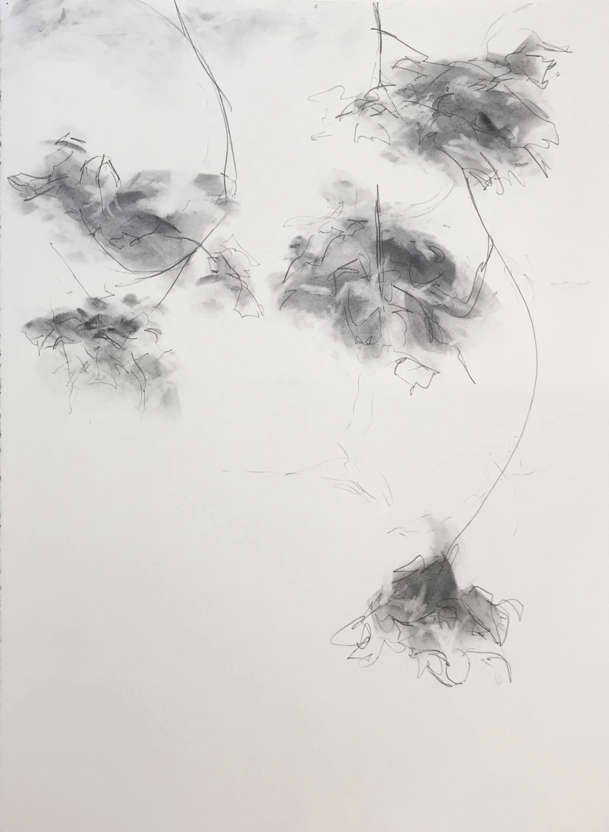 Acer I