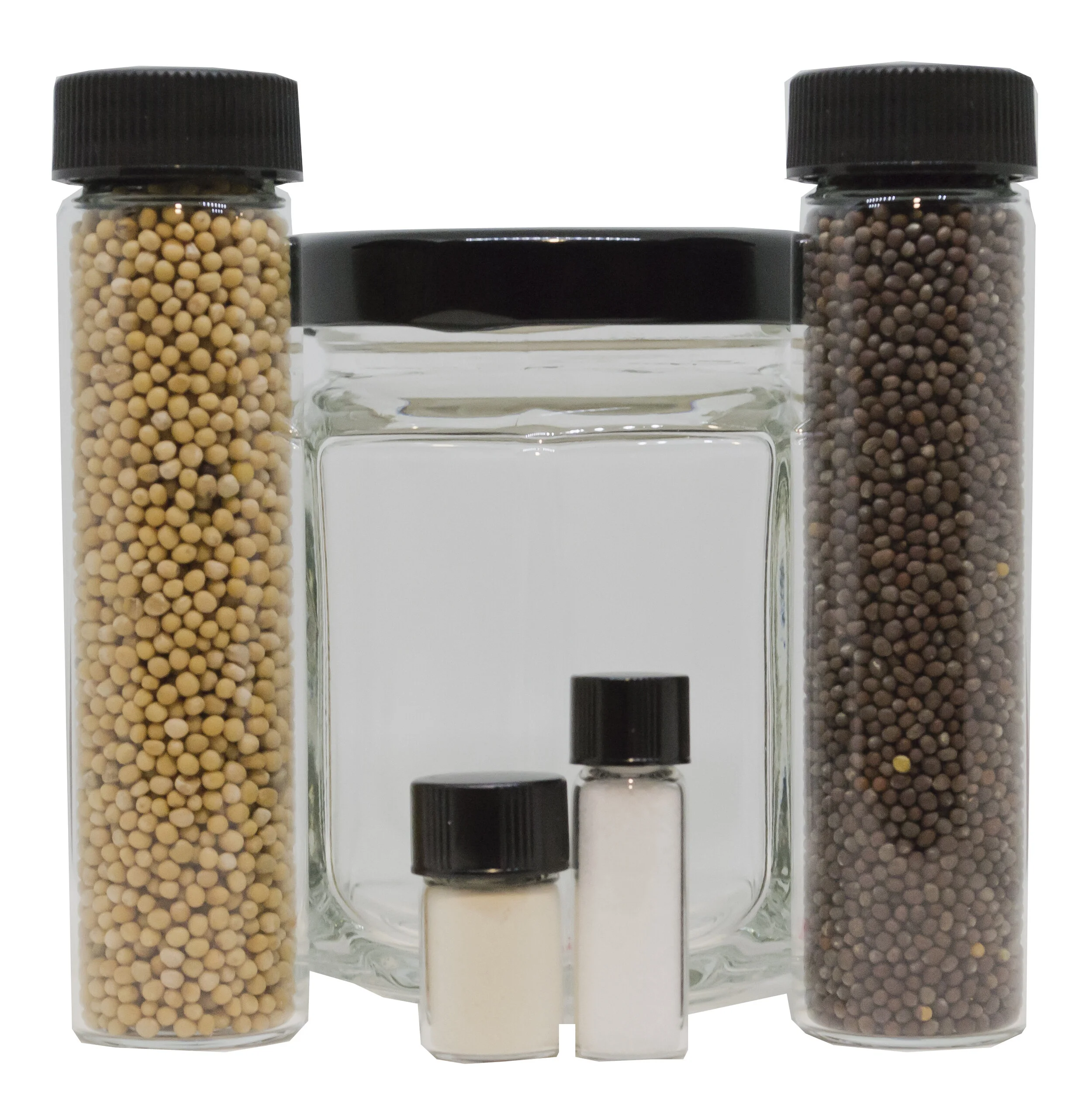 MYOM and MYOBM Contents.jpg