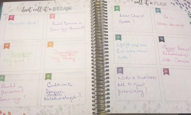 A sneak peak at my goals for the year.