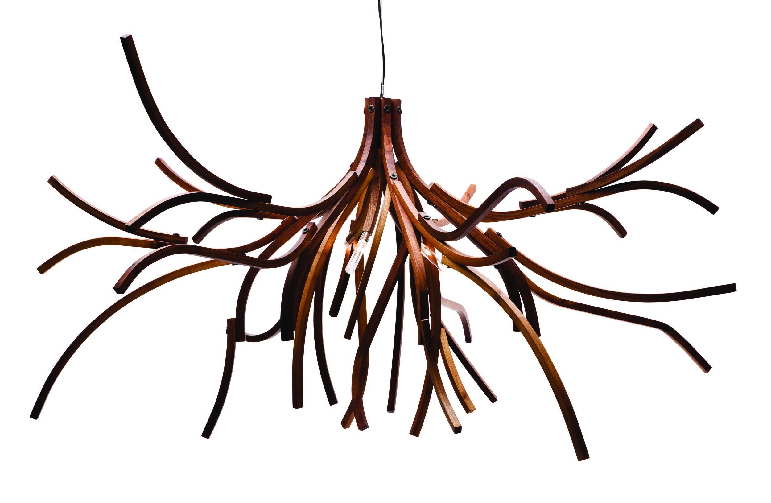 Branches_1700mm_1.jpg