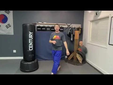 Spin Side Kick Tutorial