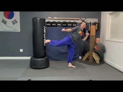 Side Kick Tutorial