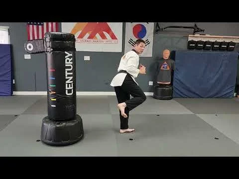 Back Kick Tutorial