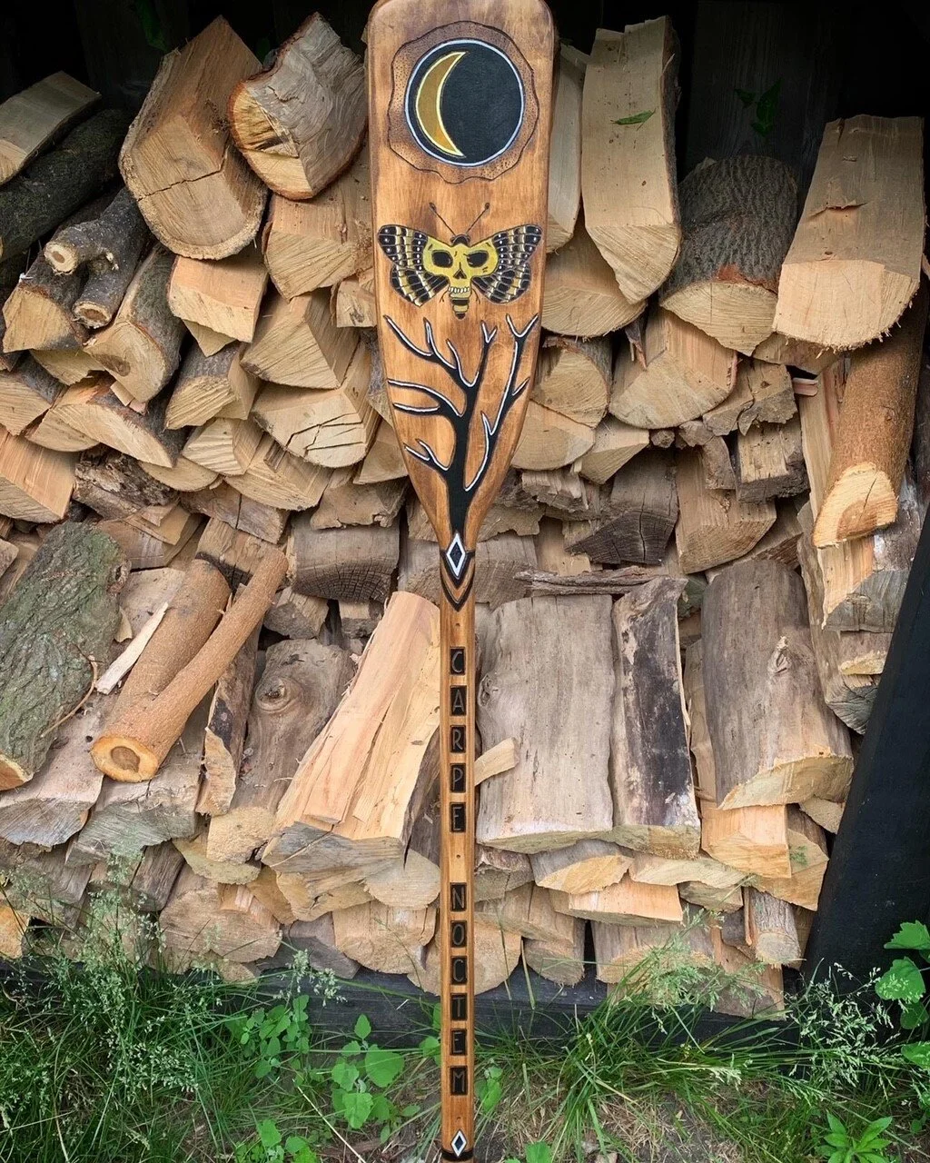 mothpaddle.jpg
