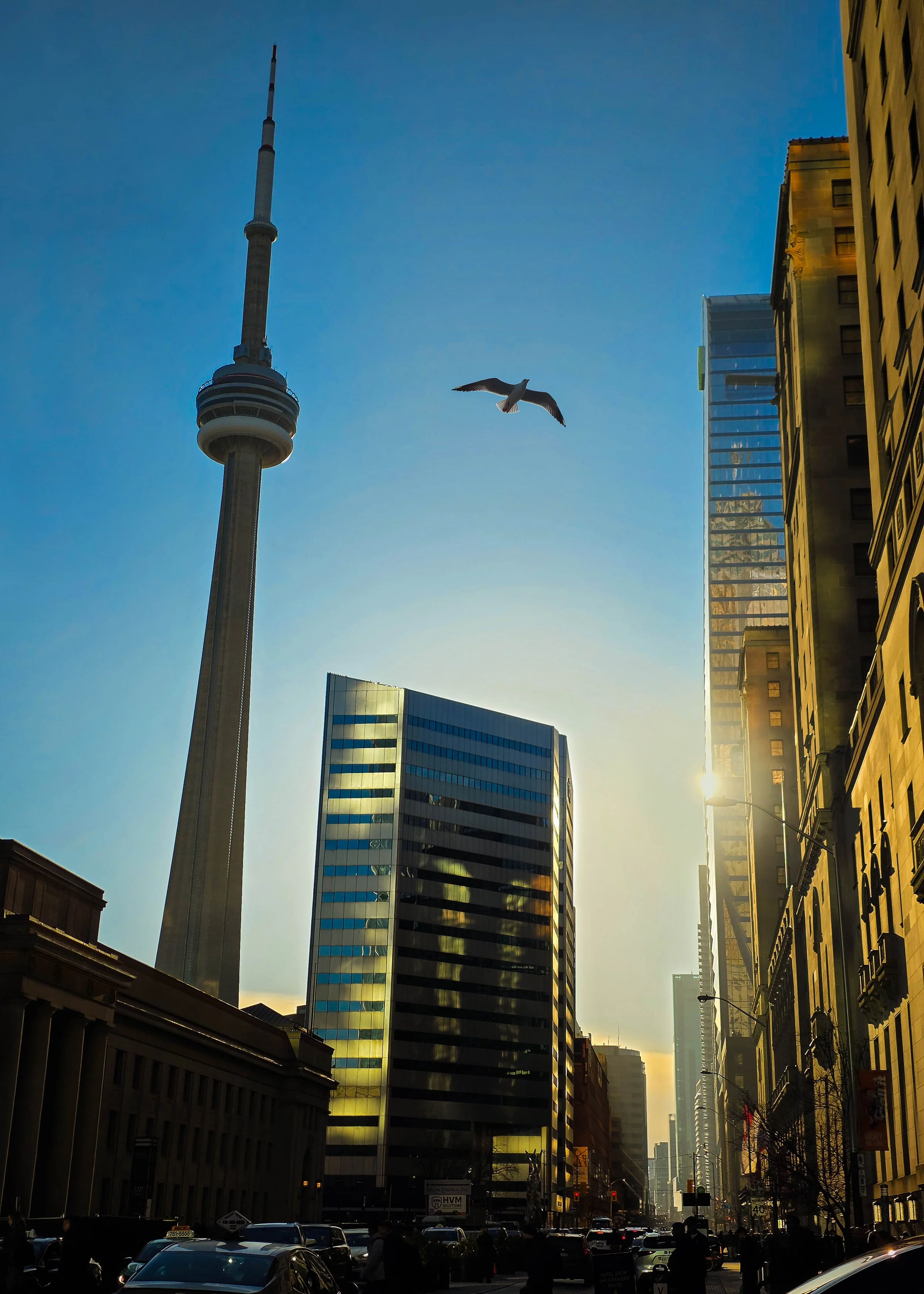 Downtown TO Sunrise.jpg