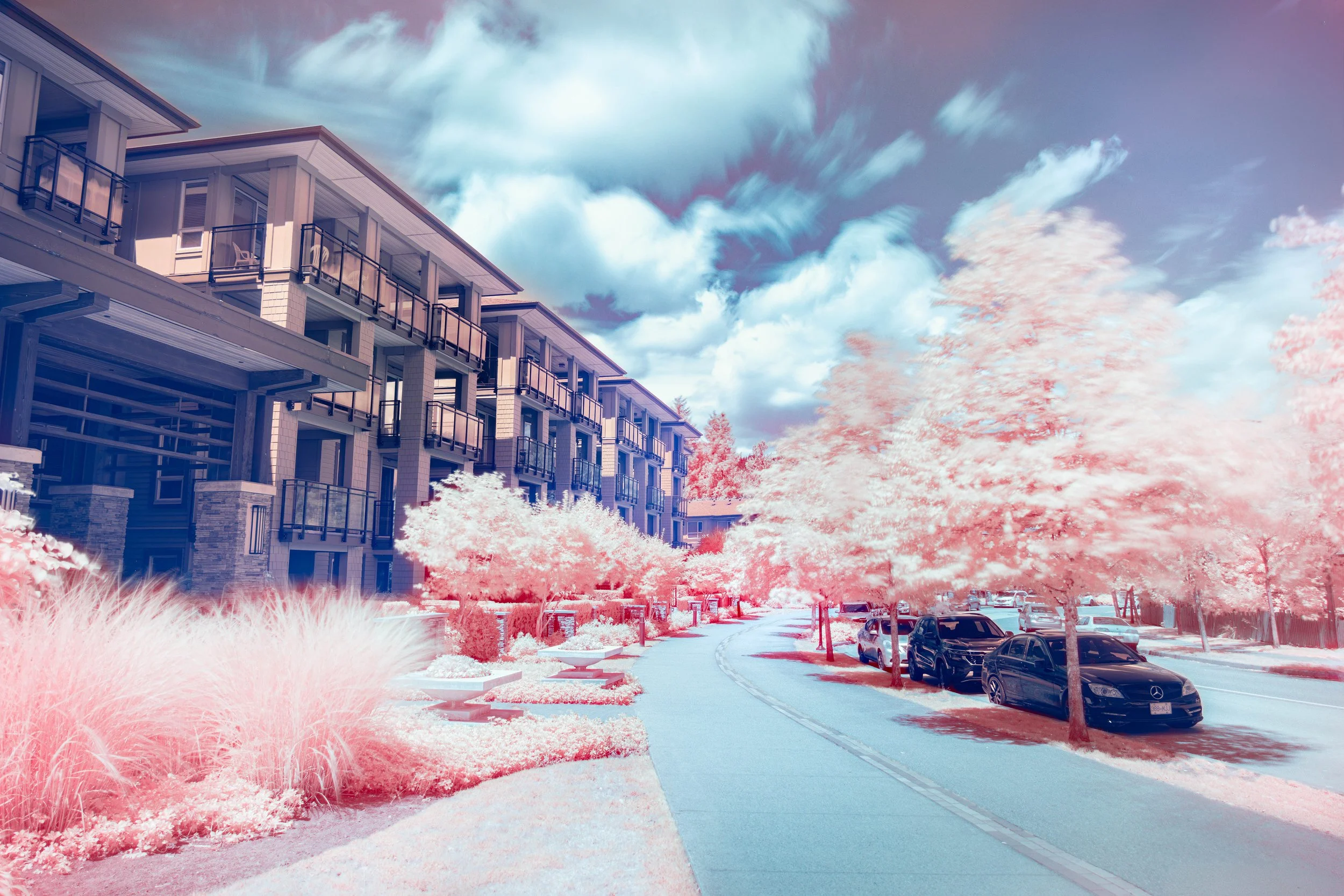 Noel Street IR ii.jpg