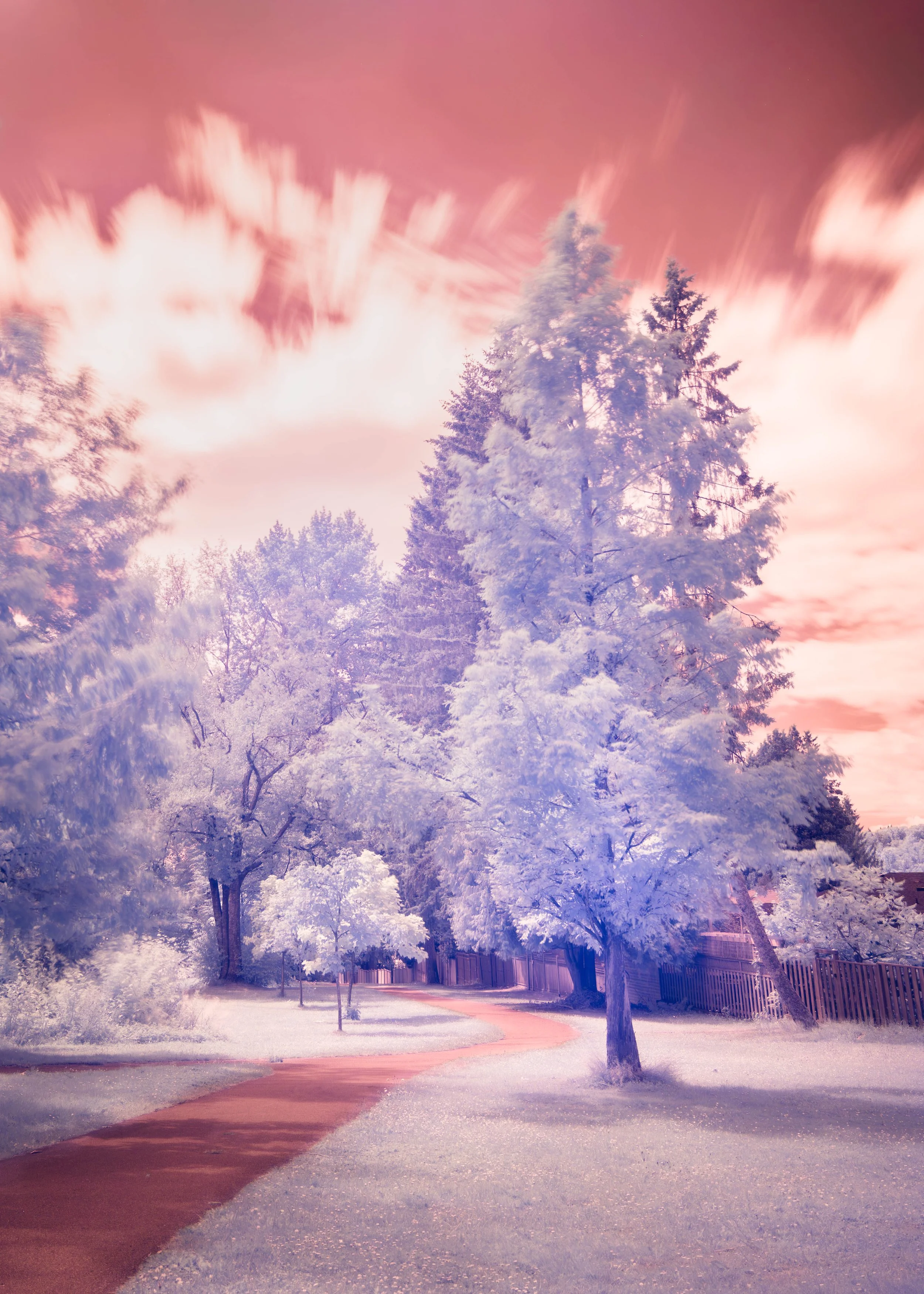 Cameron Park Path IR ii.jpg
