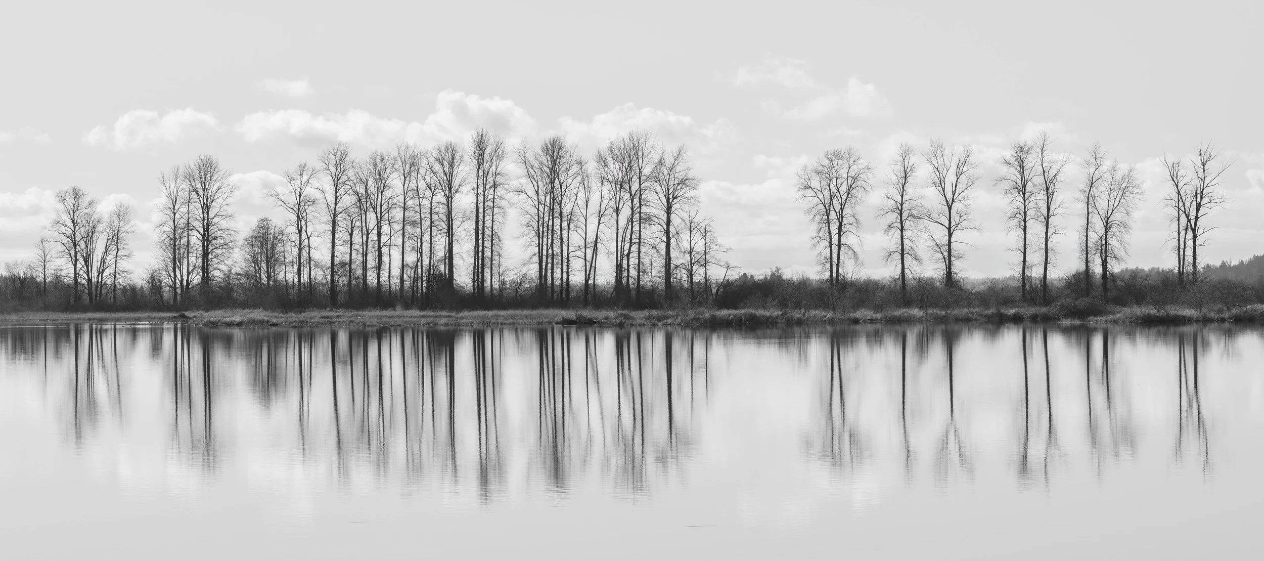 Pitt-Addington Marsh B&W.jpg