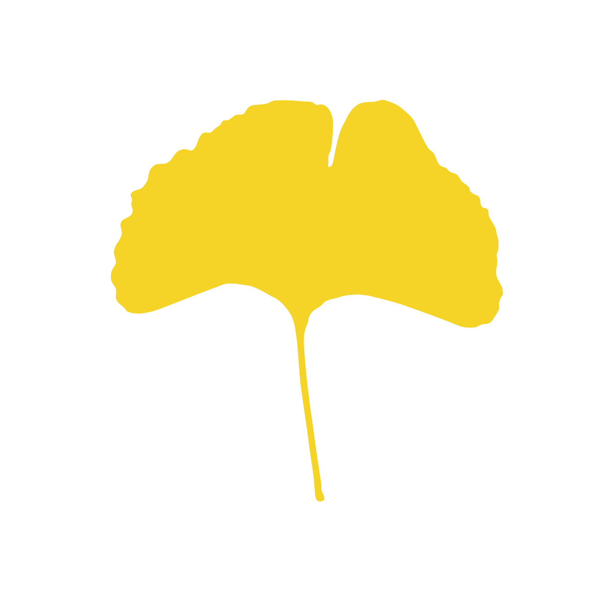 Ginkgo_all yellow.png