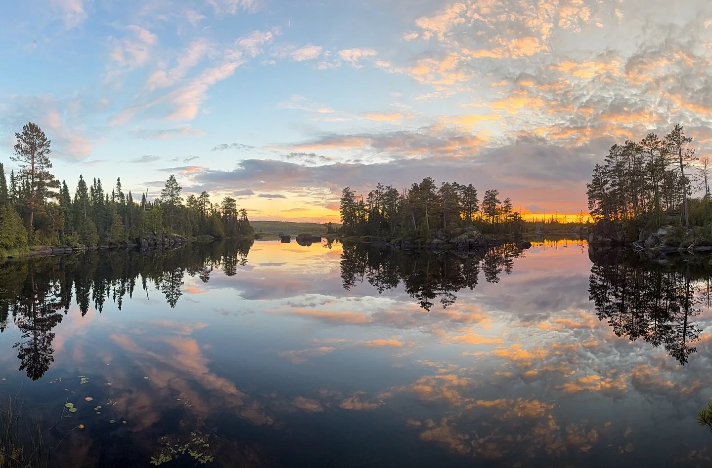 same spot, different view🌲