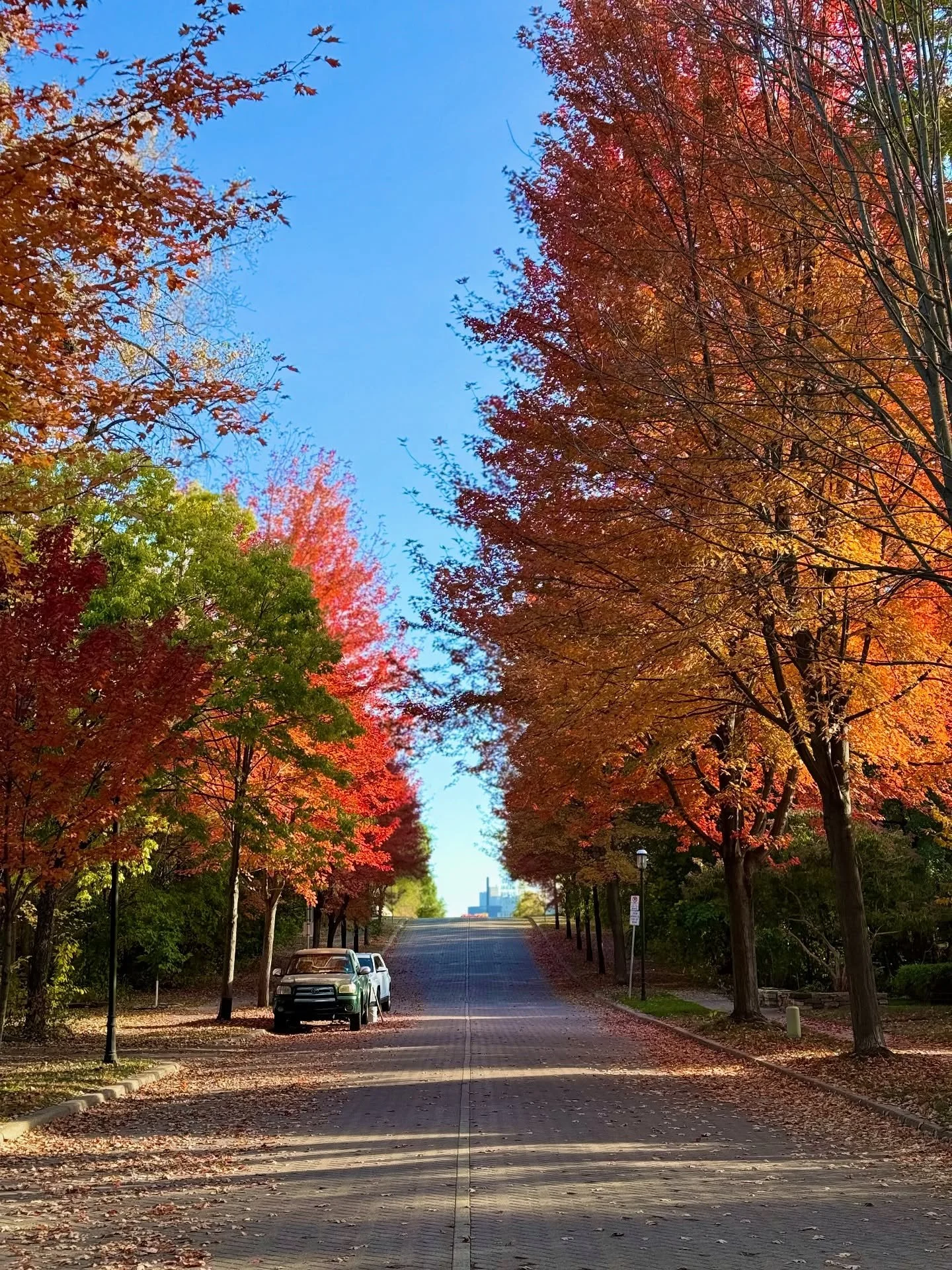 a little taste of my fall 🍂💛