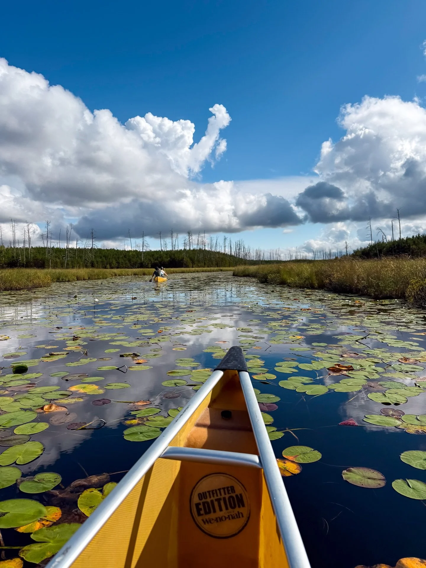 been slacking on my insta game this year&hellip; it&rsquo;s for good reason though! Life&rsquo;s been crazy but here&rsquo;s some stills from the BWCA this September 😌