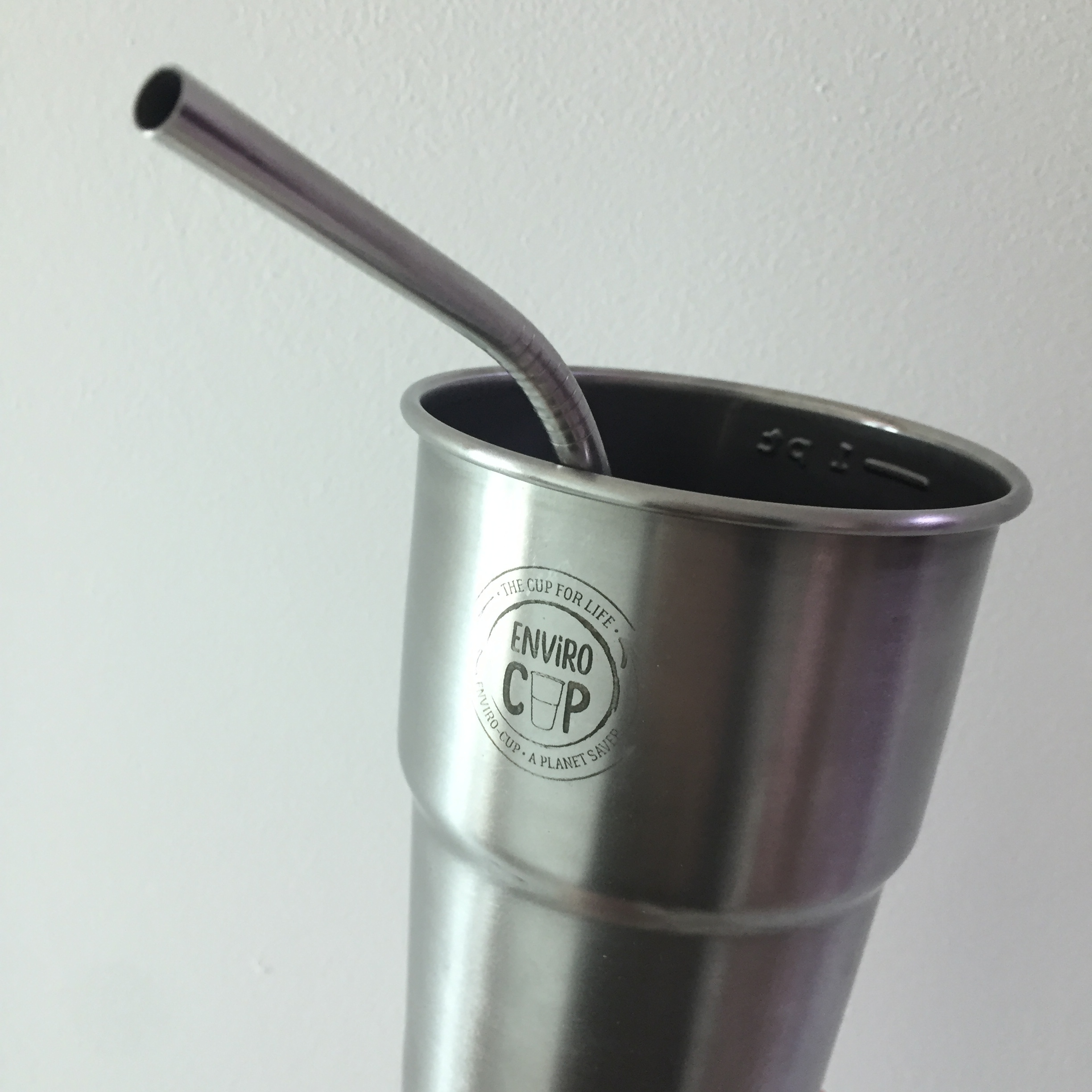Festival cup with reusable straw.JPG