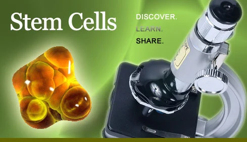 Stem_Cells_Discover_Learn_share.jpg