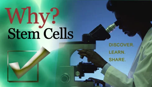 Why_Stem_Cells.jpg