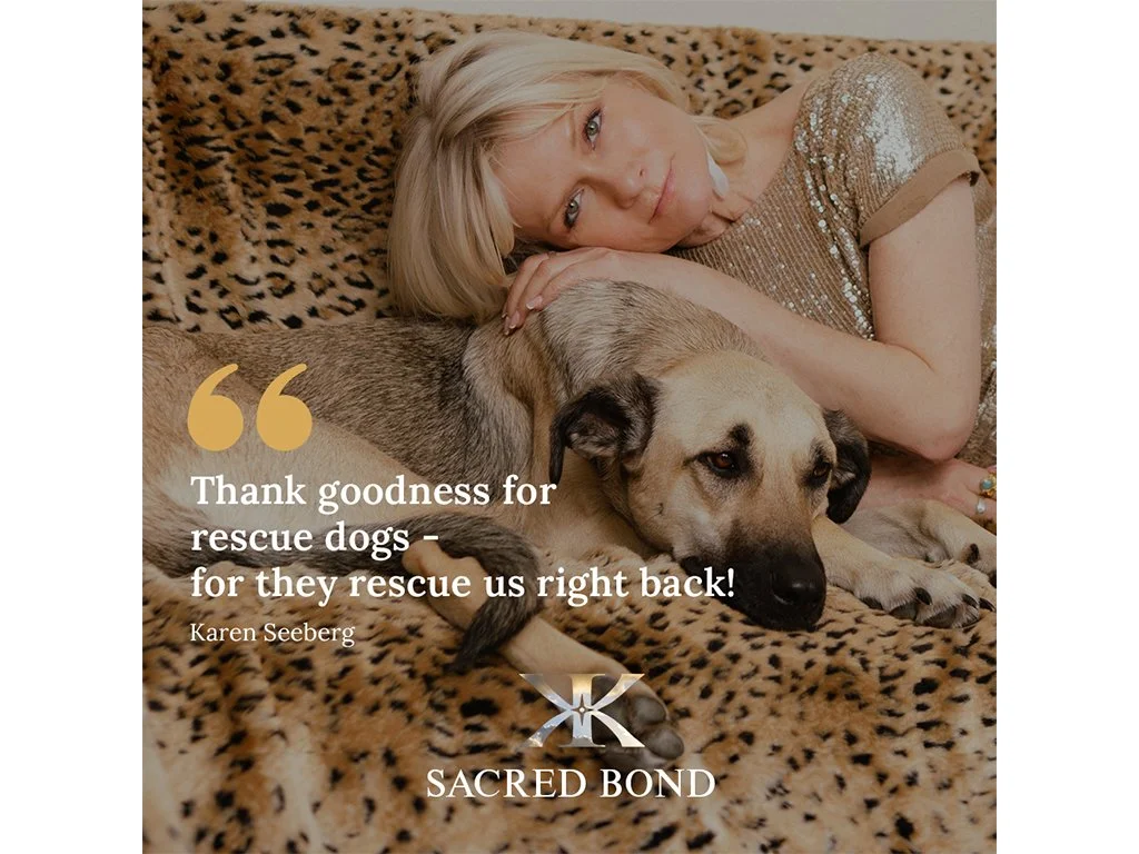 The Joy of Rescue Dogs