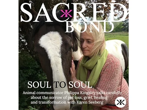 Stories of Healing, Love, and Loss