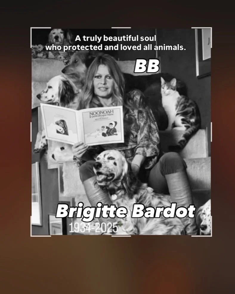 Thank you Brigitte Bardot for living a life dedicated to your passion of caring and loving all creatures. ❤️🙏