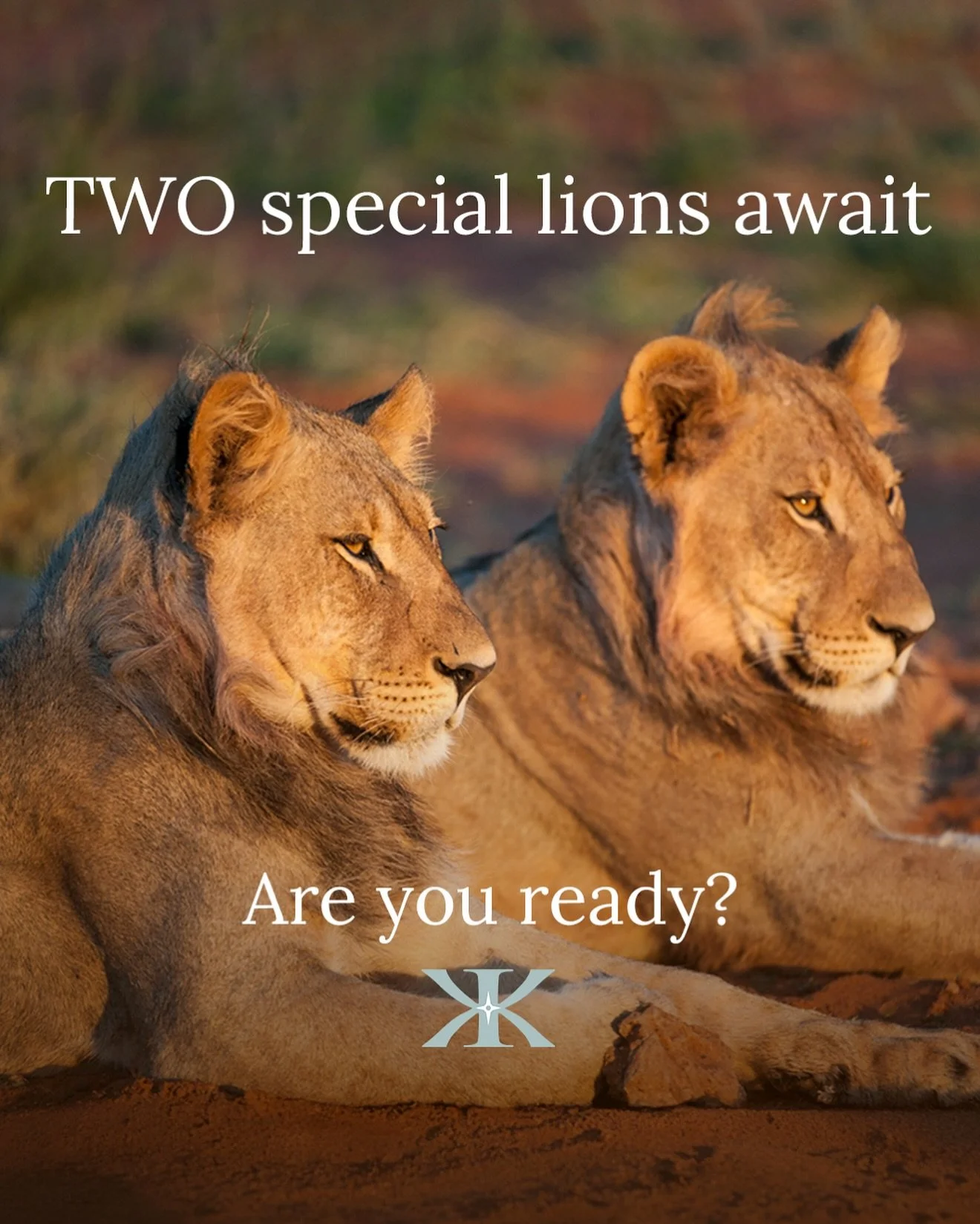 Lions&rsquo; Gate is nearly with us - be ready!