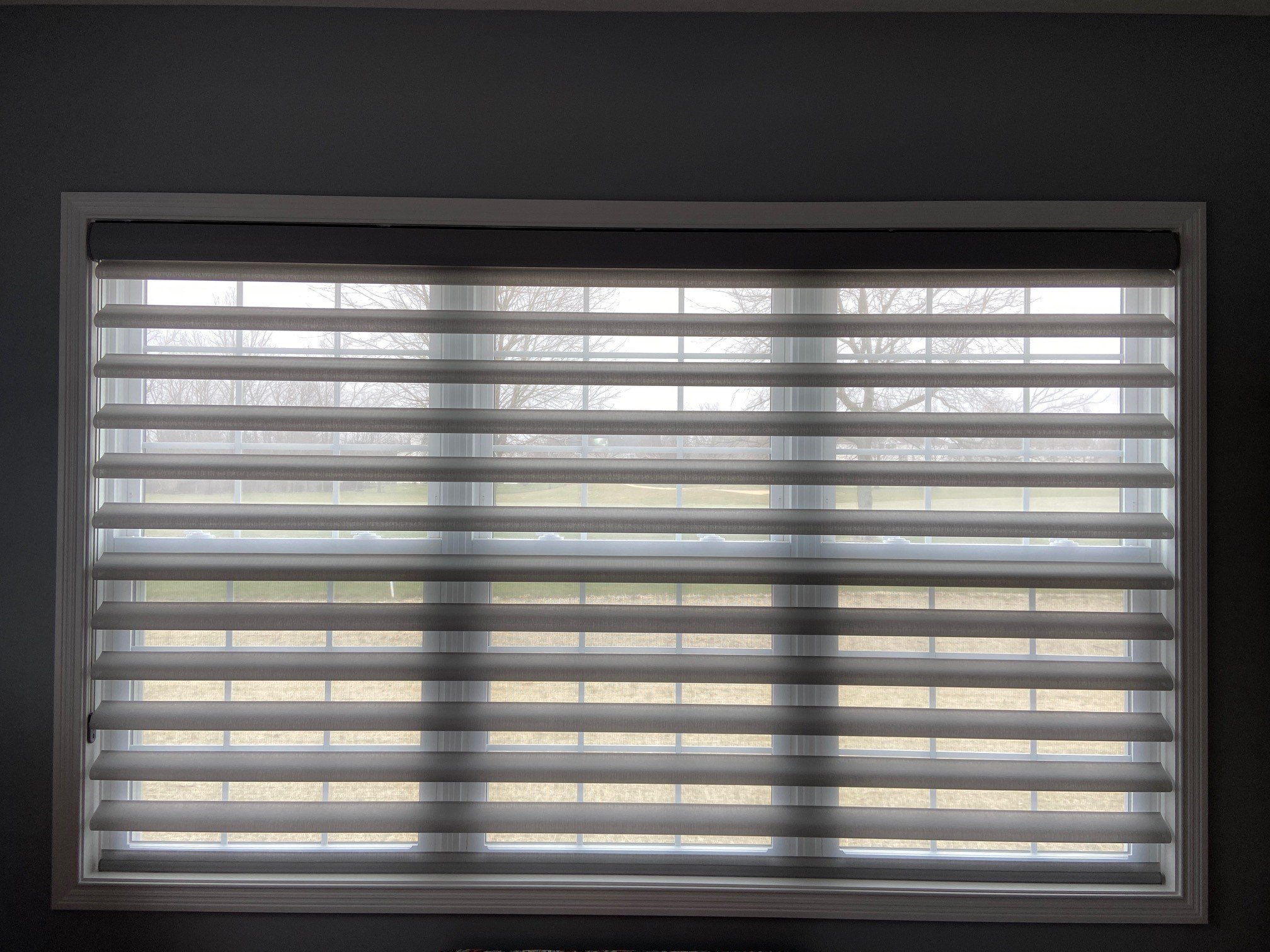  Hunter Douglas Pirouette® Window Shadings in Stria Silver Shine 