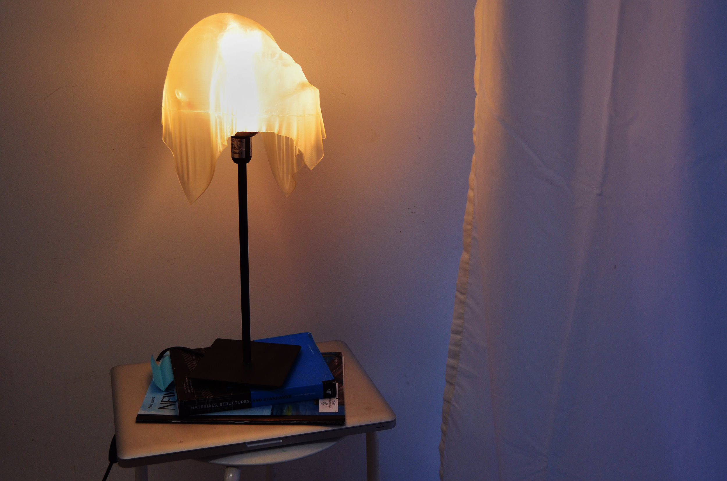 skull drape lamp.jpg