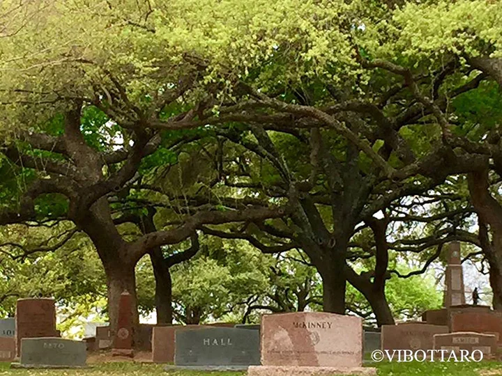 Texas State Cemetery.