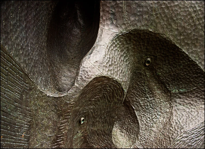 image61.jpg