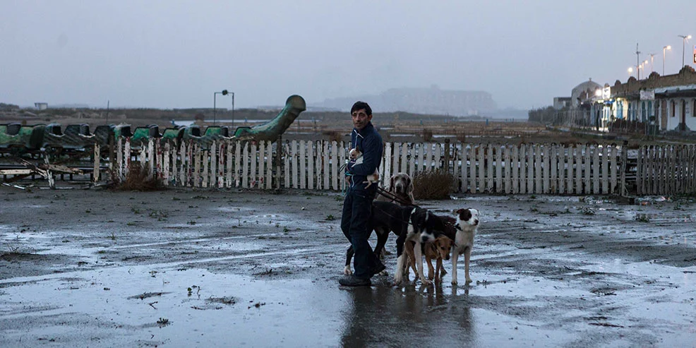 Matteo Garrone's ‘Dogman’ lands UK deal with Curzon