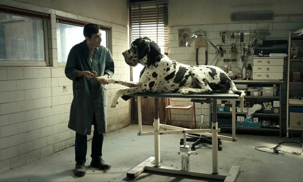BFI London Film Festival teams with European Art Cinema Day for ‘Dogman’ premiere
