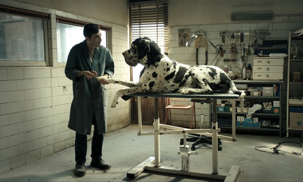 dogman .jpg