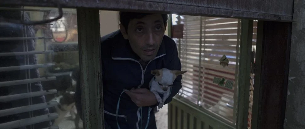 Gomorrah director Matteo Garrone on Dogman