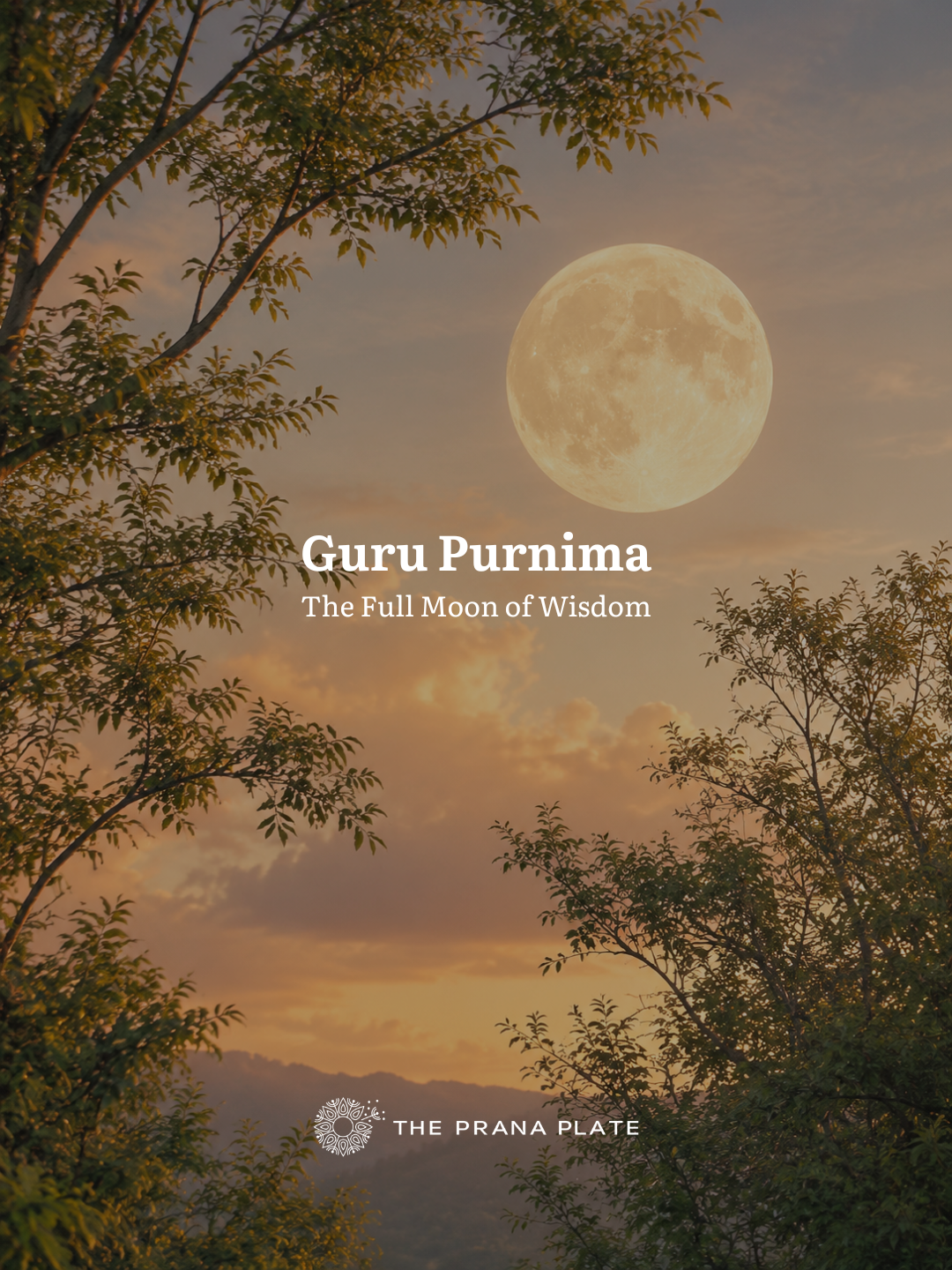 Guru Purnima - The Full Moon of Wisdom