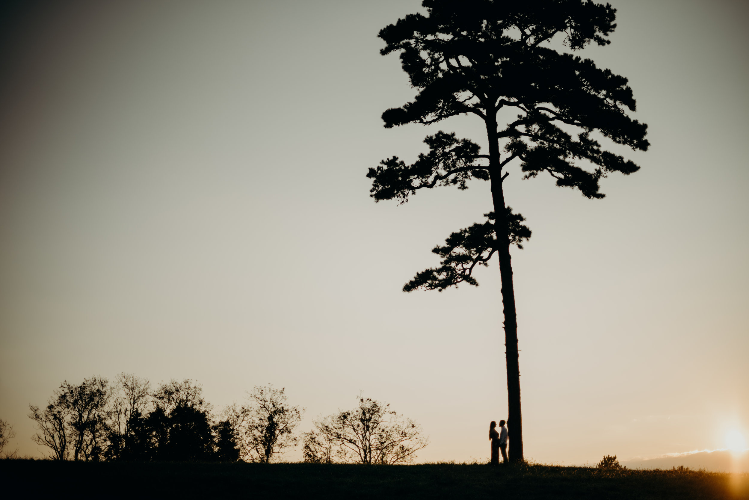 DSC_9830-3.jpg