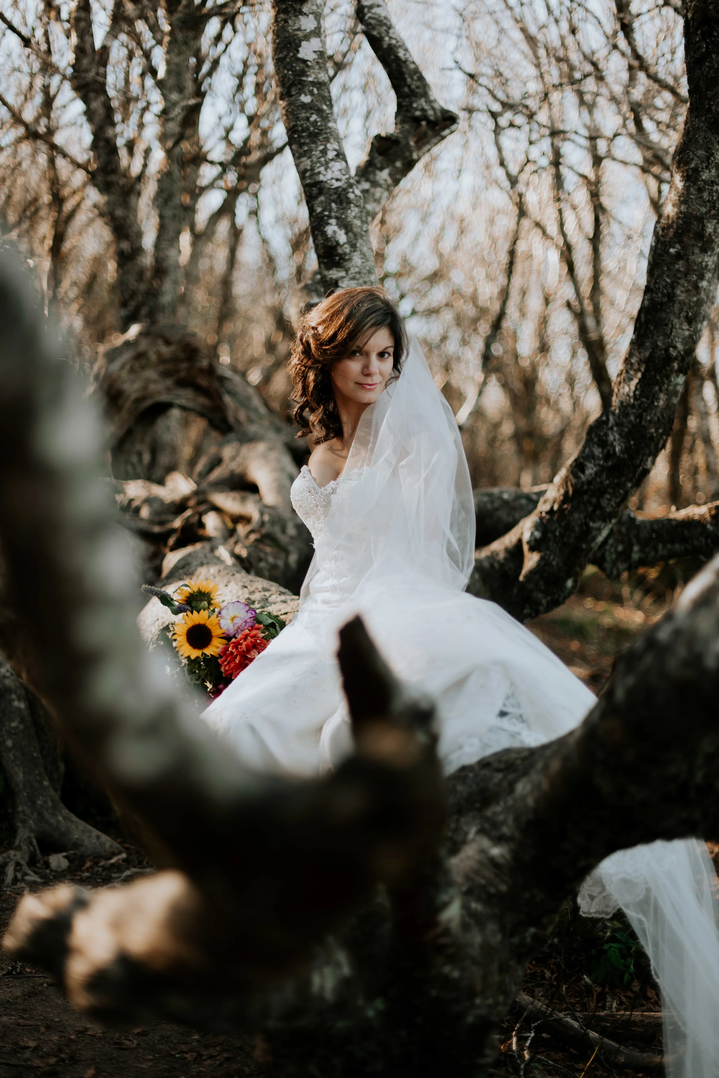 Charlotte, nc wedding photographer