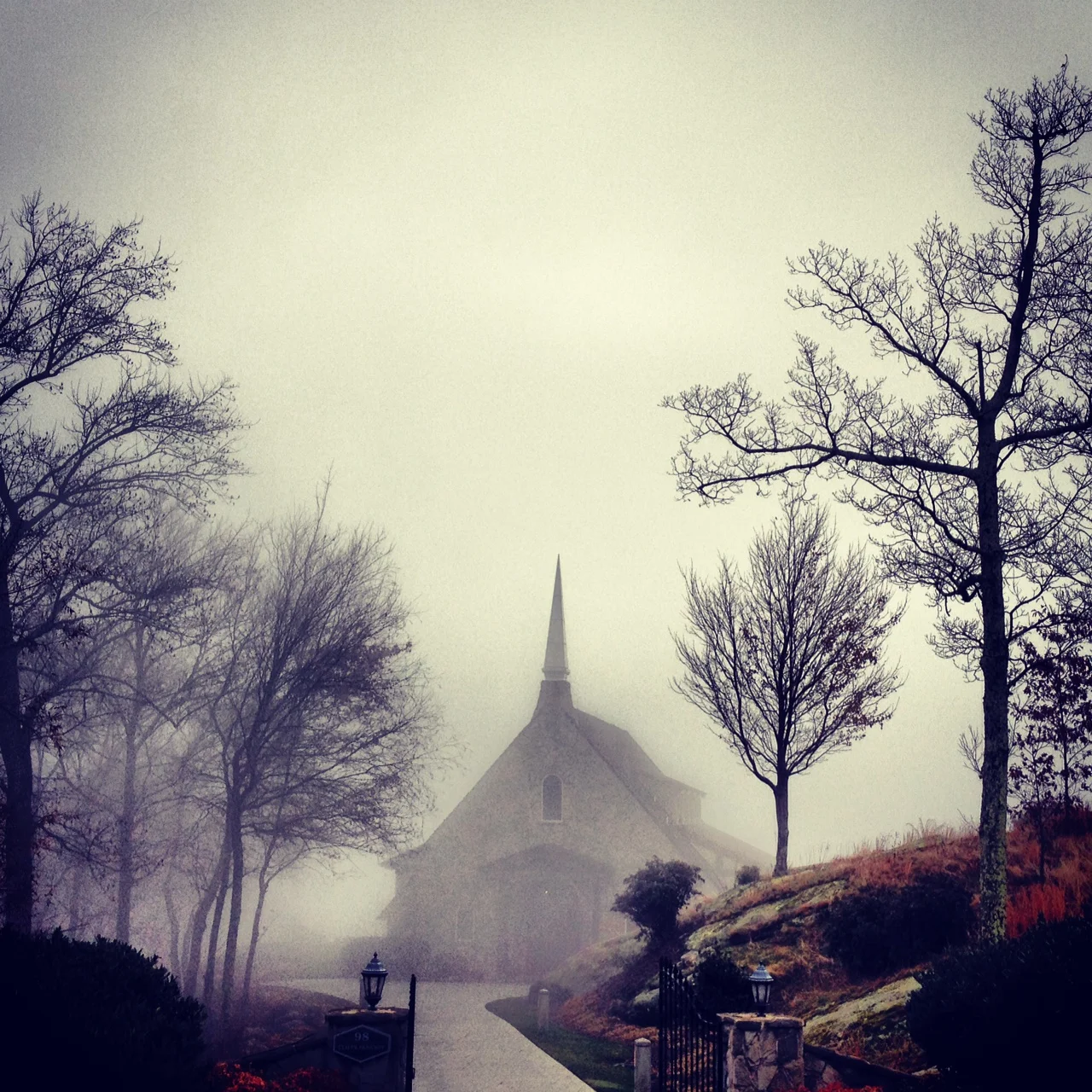photo.JPG