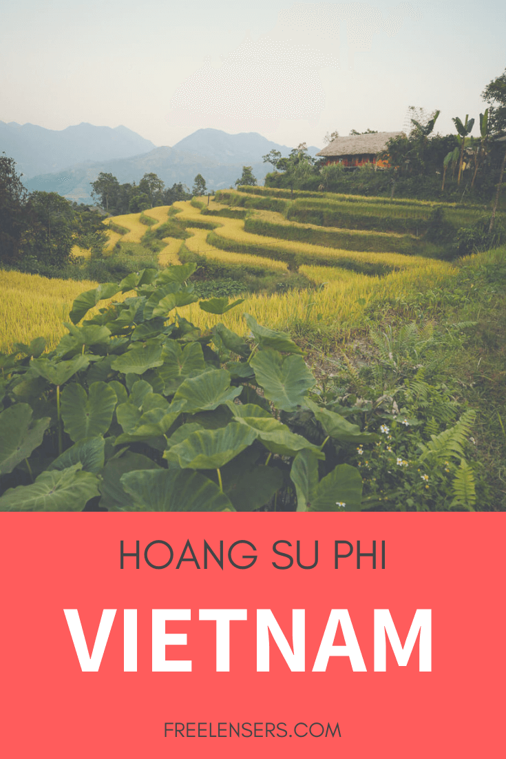 hoang su phi vietnam