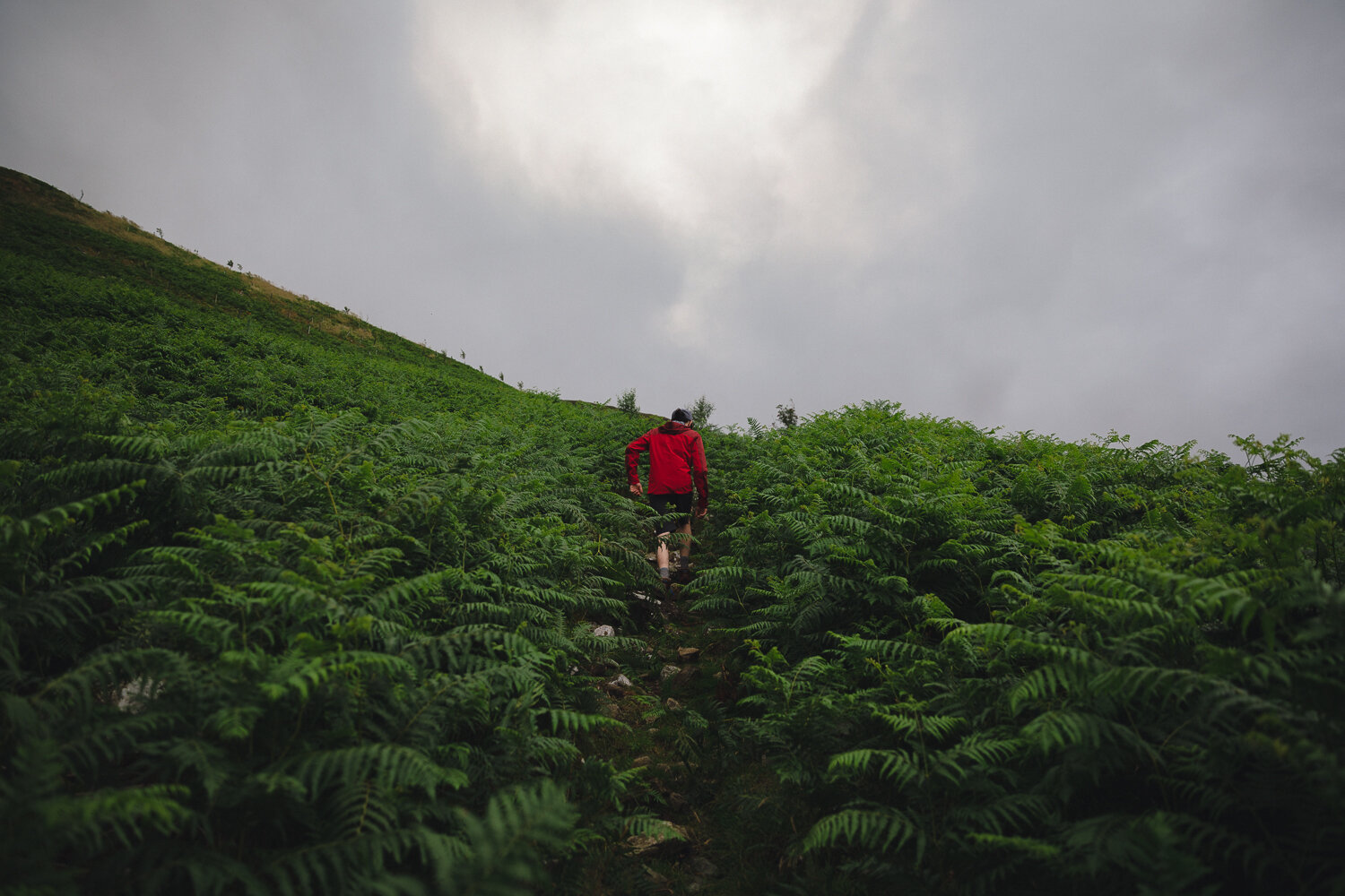 preset lightroom freelensers irish fern apres.jpg