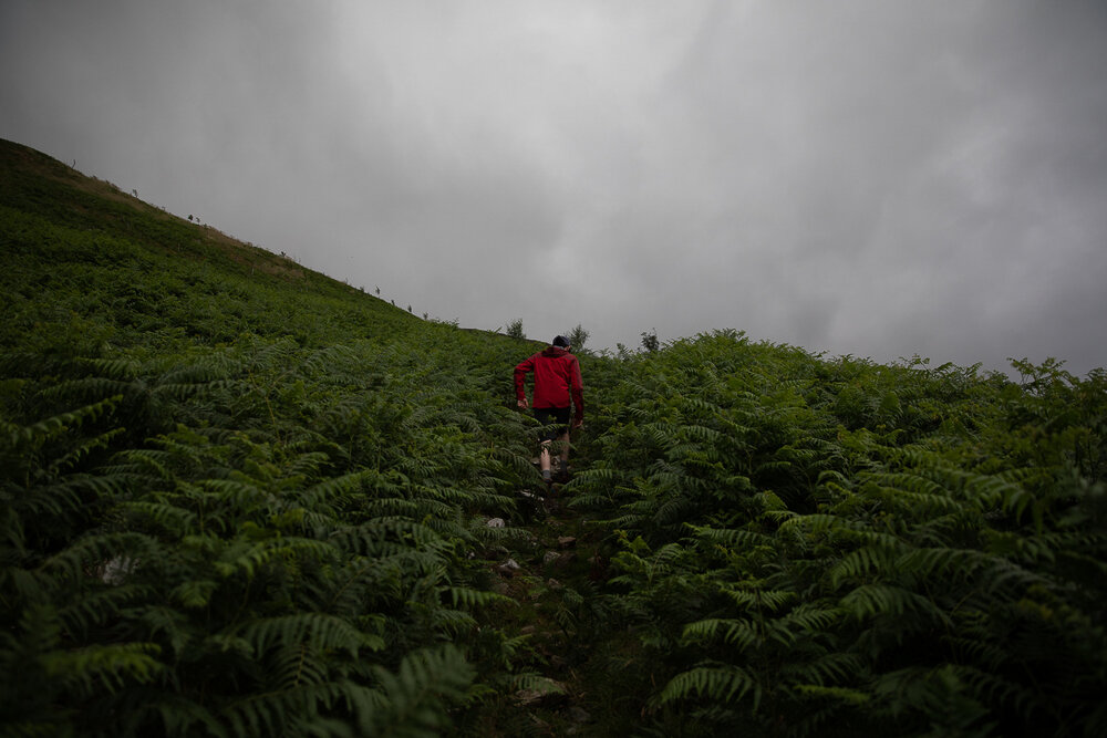 preset lightroom freelensers irish fern avant.jpg