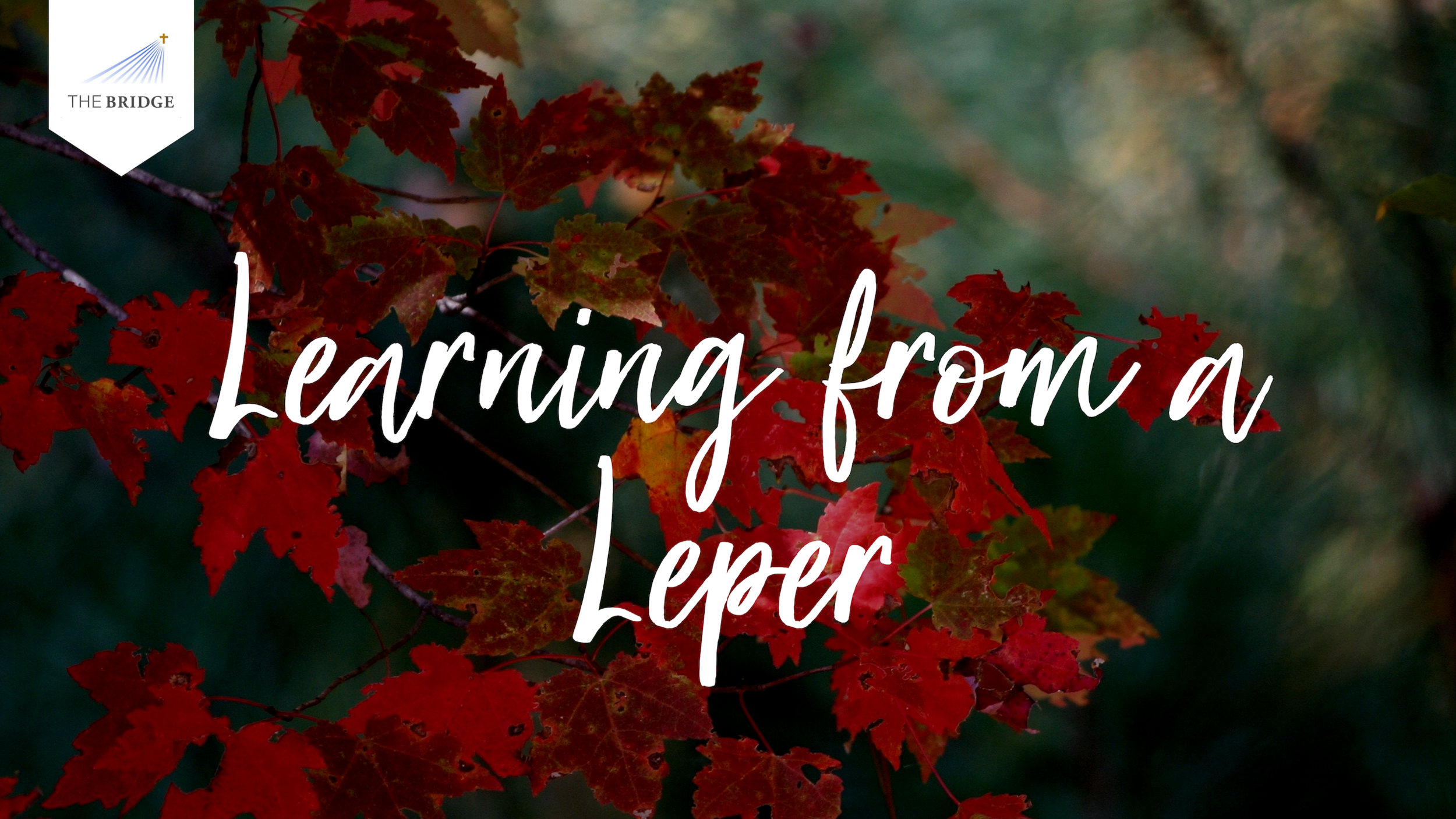 Learning from a leper.png