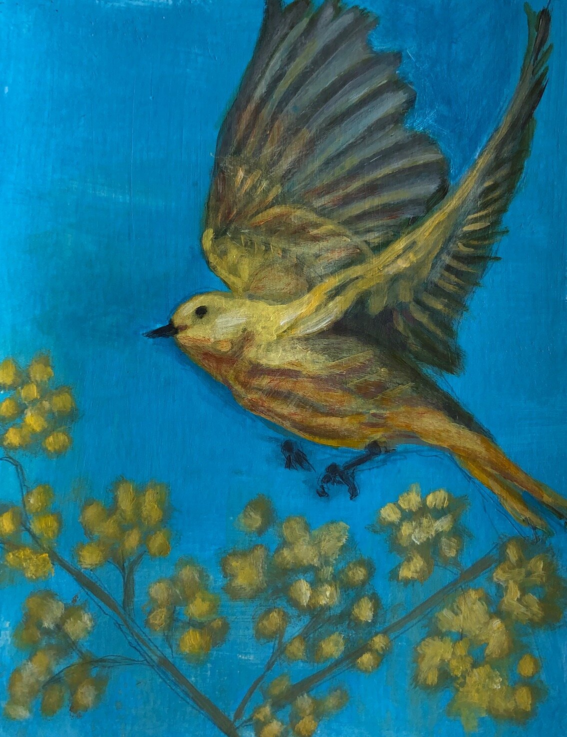 yellow warbler painting in flight.jpg