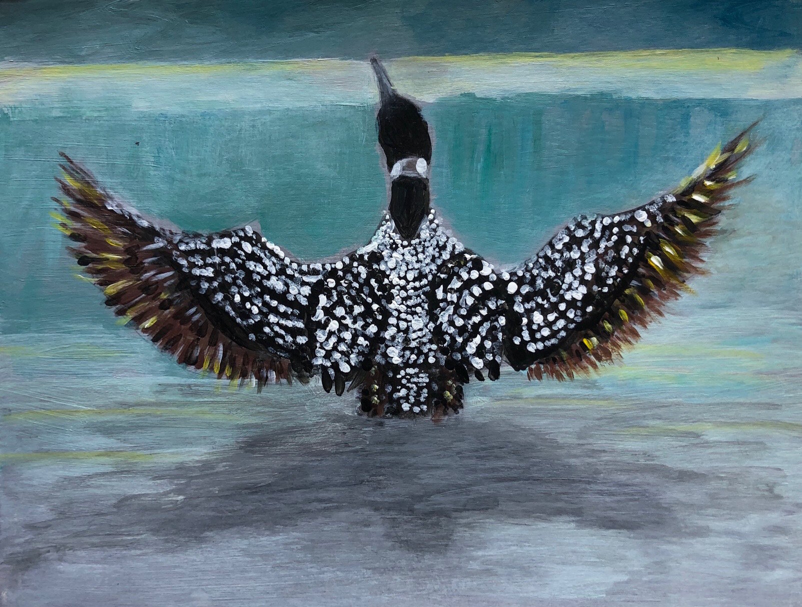 Bird painting common loon wings spread.jpg