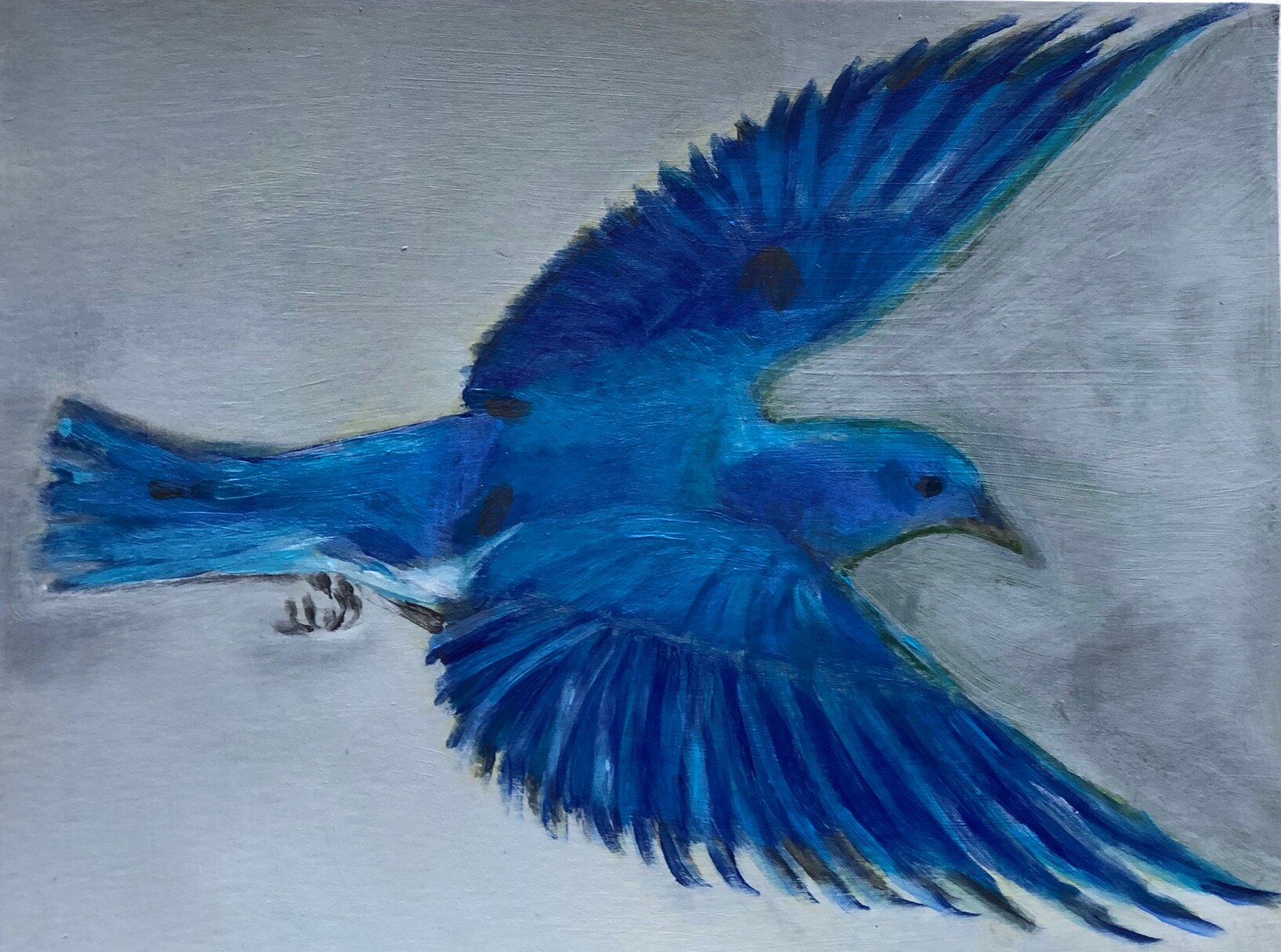 Bird painting, Mountain Bluebird, acrylic, 6%22 x 9%22.jpg